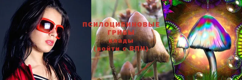 дарнет шоп  Гаврилов Посад  Псилоцибиновые грибы MAGIC MUSHROOMS 